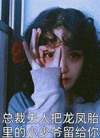 总裁夫人把龙凤胎里的小少爷留给你了小说