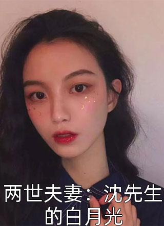 两世夫妻：沈先生的白月光小说