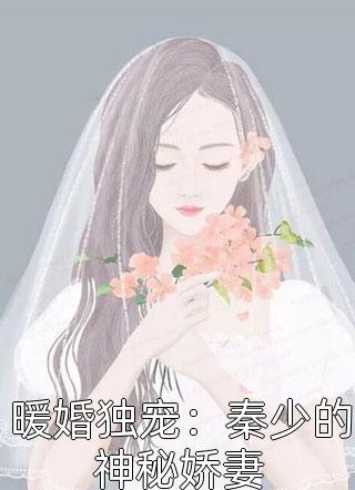 暖婚独宠：秦少的神秘娇妻小说