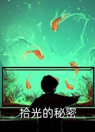 拾光的秘密小说