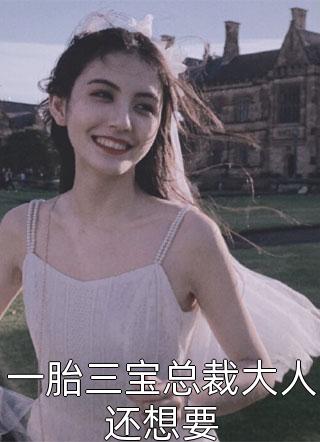 一胎三宝总裁大人还想要小说