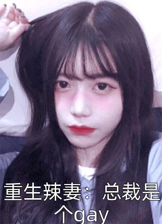 重生辣妻：总裁是个gay小说