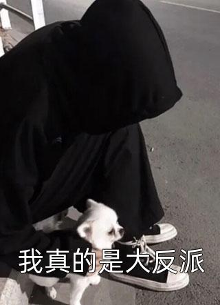 我真的是大反派小说