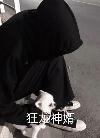 狂龙神婿小说