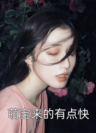 萌宝来的有点快小说