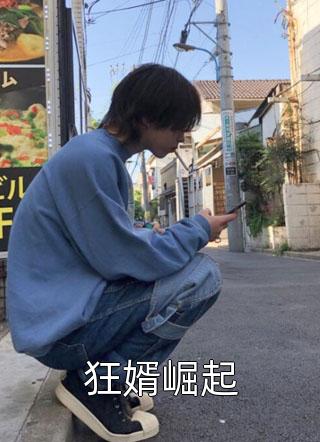 狂婿崛起小说