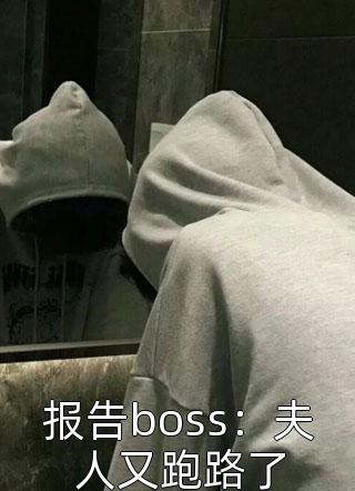 报告boss：夫人又跑路了小说