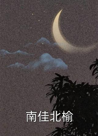 南佳北榆小说