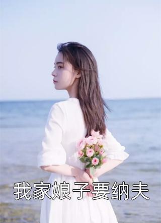 我家娘子要纳夫小说