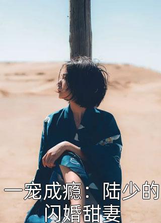 一宠成瘾：陆少的闪婚甜妻小说