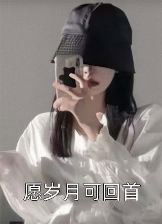 愿岁月可回首小说