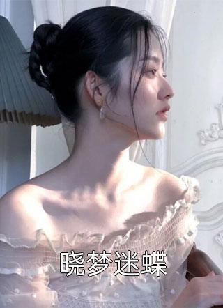 晓梦迷蝶小说