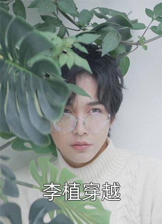 李植穿越小说