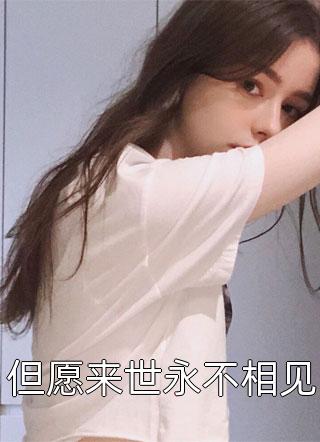 但愿来世永不相见小说