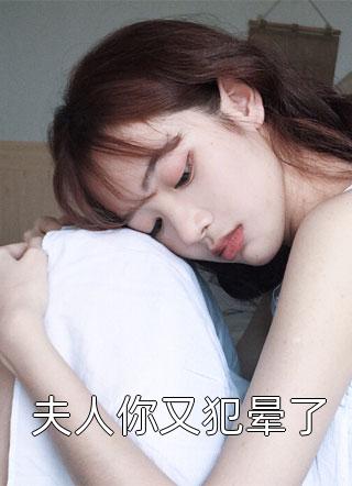 夫人你又犯晕了小说