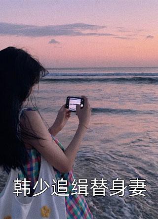 韩少追缉替身妻小说