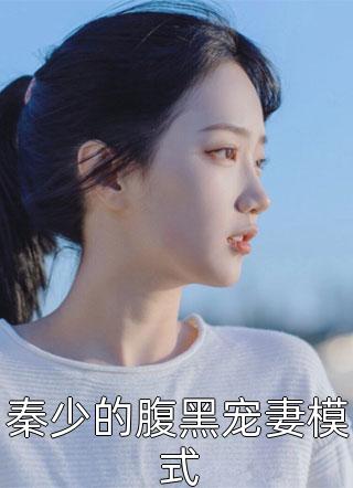 秦少的腹黑宠妻模式小说