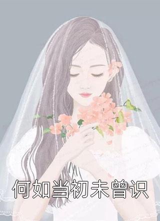 何如当初未曾识小说