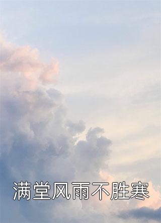 满堂风雨不胜寒小说