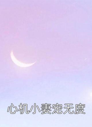 心机小妻宠无度小说