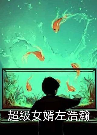 超级女婿左浩瀚小说