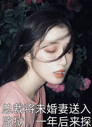 总裁将未婚妻送入监狱，一年后来探监，见这一幕心头一窒小说