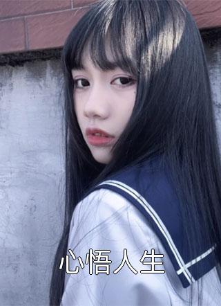 心悟人生小说