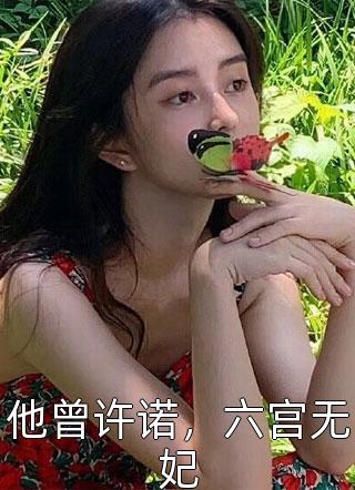 他曾许诺，六宫无妃小说