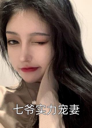 七爷实力宠妻小说