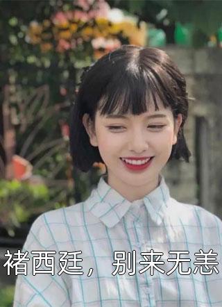 褚西廷，别来无恙小说