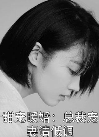 甜宠暖婚：总裁宠妻请低调小说