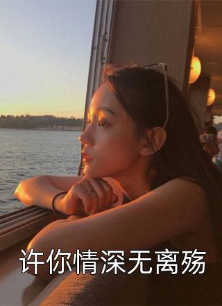 许你情深无离殇小说