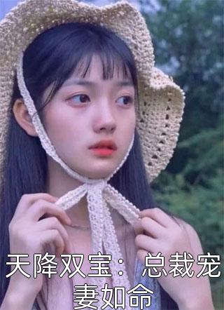 天降双宝：总裁宠妻如命小说