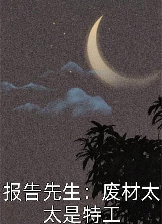 报告先生：废材太太是特工小说