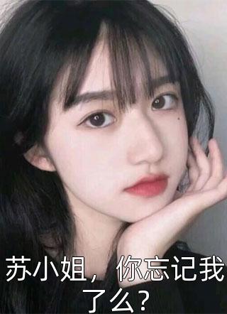 苏小姐，你忘记我了么？小说