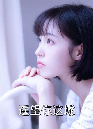 遥望你这城小说