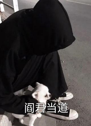 阎君当道小说