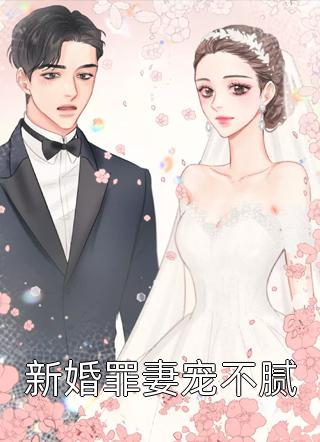 新婚罪妻宠不腻小说