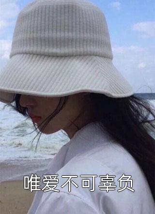 唯爱不可辜负小说