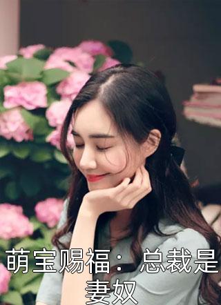 萌宝赐福：总裁是妻奴小说