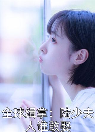 全球缉拿：陆少夫人谁敢娶小说