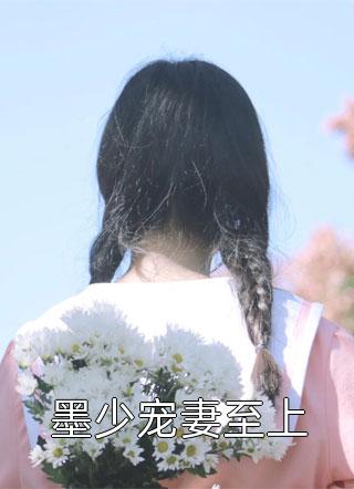 墨少宠妻至上小说