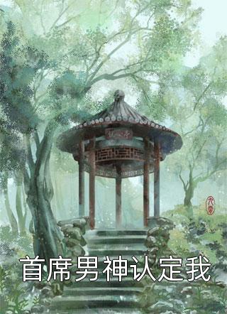 首席男神认定我小说