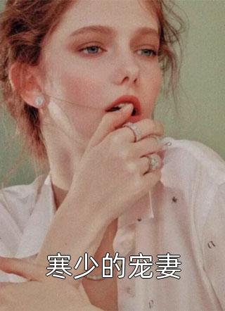 寒少的宠妻小说