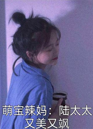 萌宝辣妈：陆太太又美又飒小说