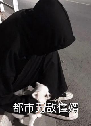 都市无敌佳婿小说