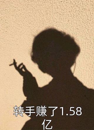 转手赚了1.58亿小说