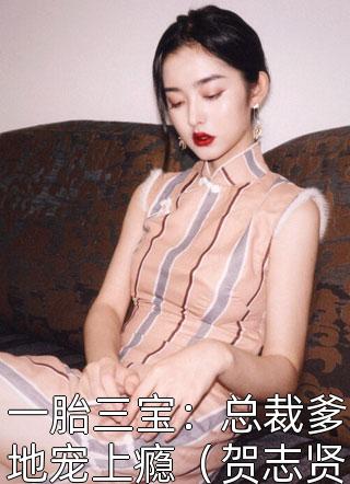 一胎三宝：总裁爹地宠上瘾（贺志贤顾夏霜）小说