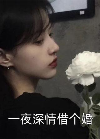 一夜深情借个婚小说