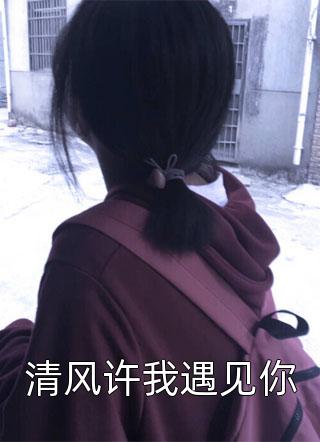 清风许我遇见你小说